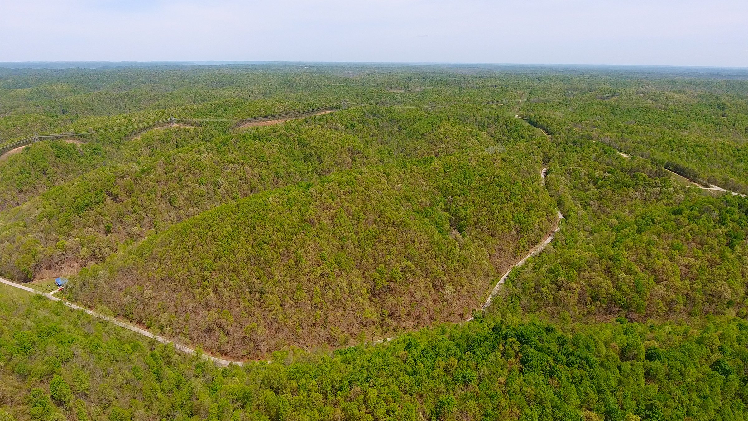 Property photo 5 - LAND AUCTION - 1,682+/- ACRES OFFERED IN 17 TRACTS IN LEWIS & GREENUP COUNTIES, KENTUCKY